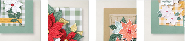 Pretty Poinsettia Class