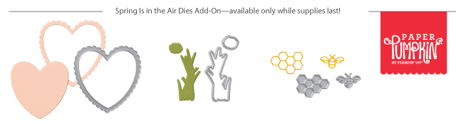 Paper Pumpkin Add-On